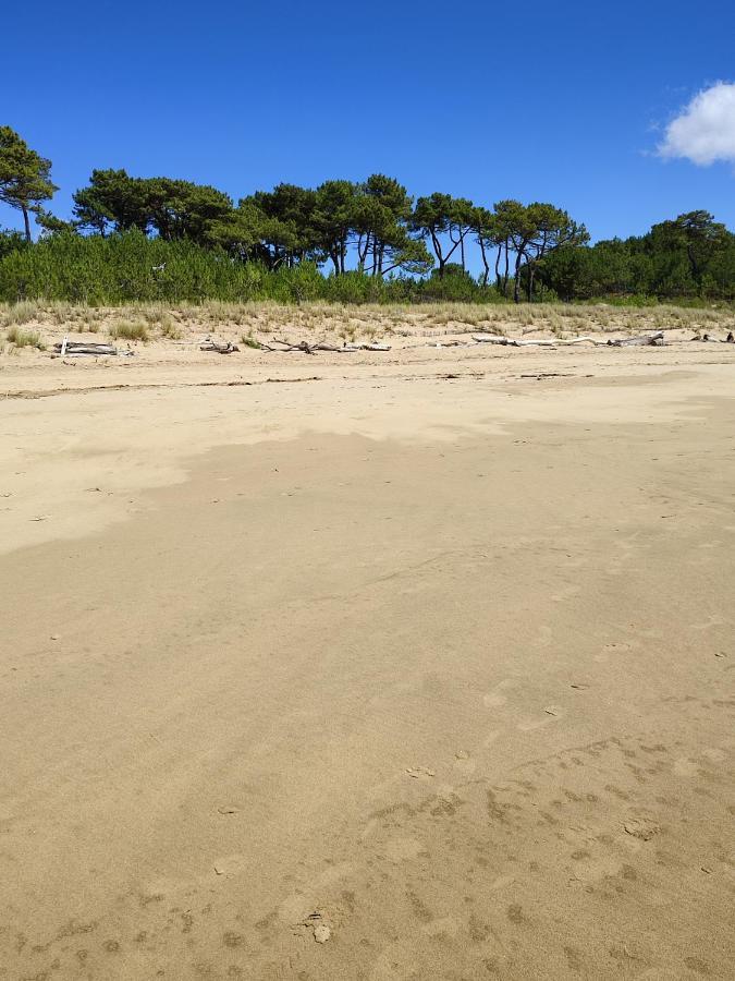 Idealement Situe, Tout A Pied, 60M2 Saint-Georges-de-Didonne Dış mekan fotoğraf